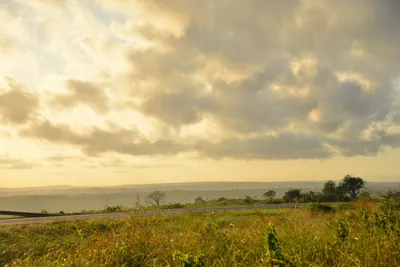 DSC_4347 (Large).JPG